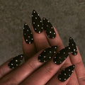 Midnight Stud